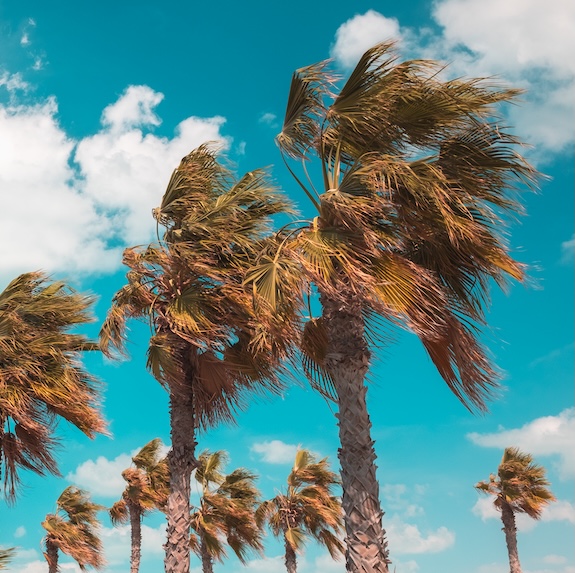 Wind blowing through trees near a house, representing wind coverage.